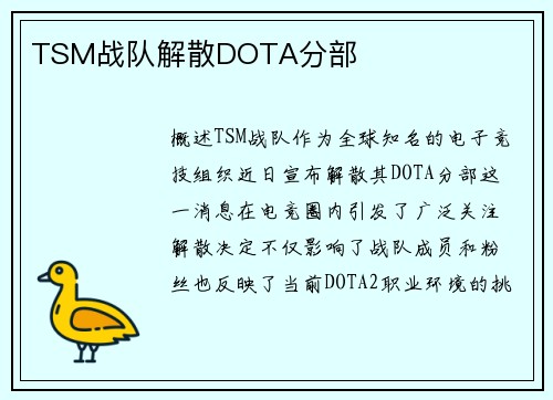 TSM战队解散DOTA分部