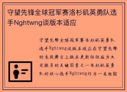守望先锋全球冠军赛洛杉矶英勇队选手Nghtwng谈版本适应